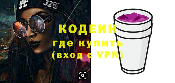 гашик Няндома