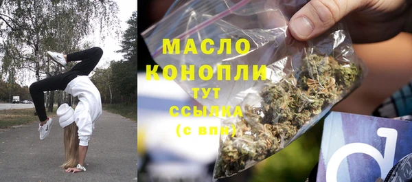 гашик Няндома