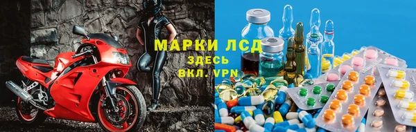 гашик Няндома