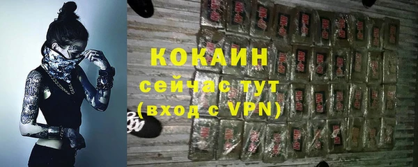гашик Няндома