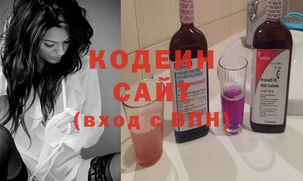 гашик Няндома