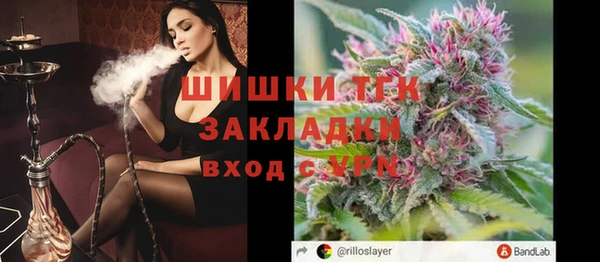 гашик Няндома