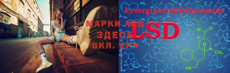 закладка  Карпинск  Лсд 25 экстази ecstasy 