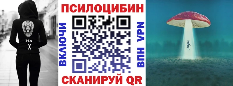 наркота  Карпинск  Галлюциногенные грибы прущие грибы 