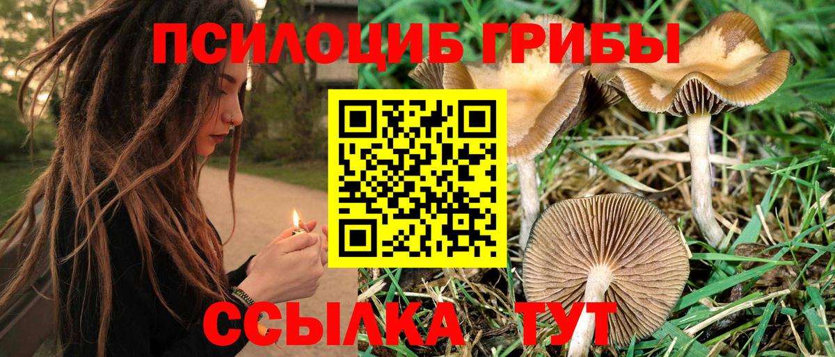 Галлюциногенные грибы Magic Shrooms  Карпинск  Псилоцибиновые грибы GOLDEN TEACHER 
