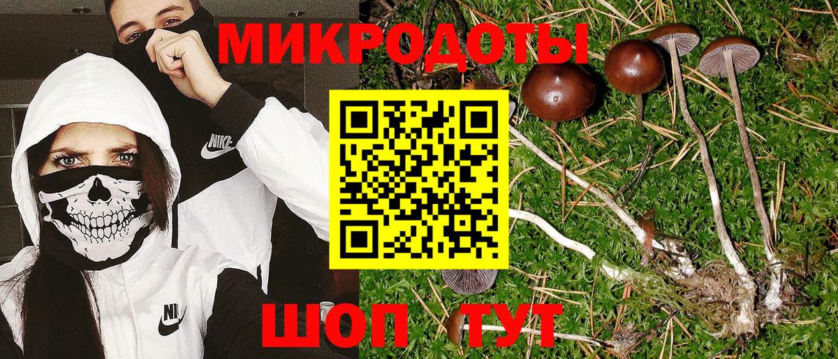 Галлюциногенные грибы Magic Shrooms  Вход с VPN  Псилоцибиновые грибы мицелий  Карпинск 